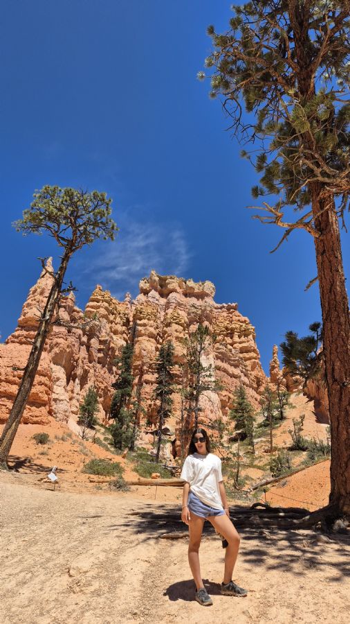 קניון ברייס